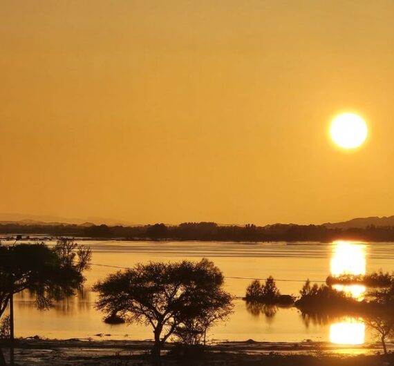 10 Days Sahara Wildlife Tour