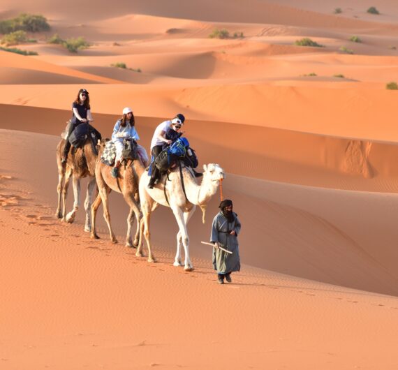 10 Days Sahara Wildlife Tour