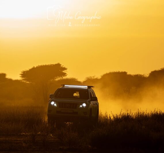 3 Days Sahara Wildlife Safari