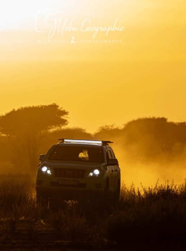 3 Days Sahara Wildlife Safari