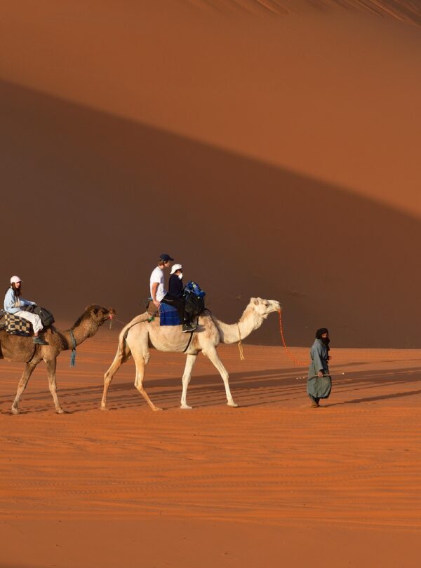 4 Days Merzouga Wildlife Trip