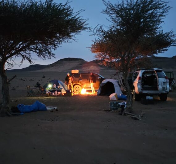 Nighttime Wildlife Excursions