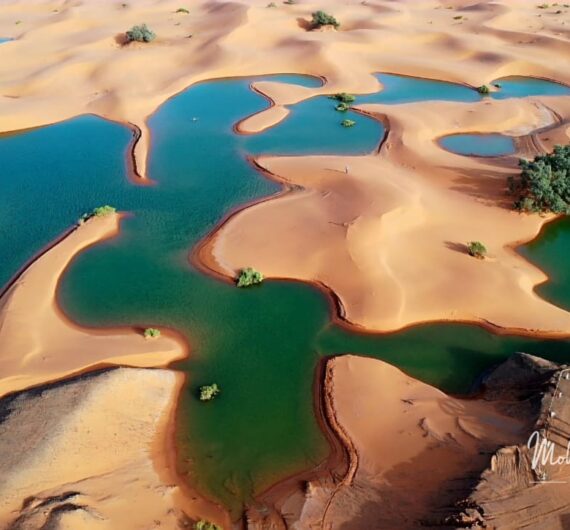 WhatsApp Image 2025-09-18 at 17.49.17_9689052b