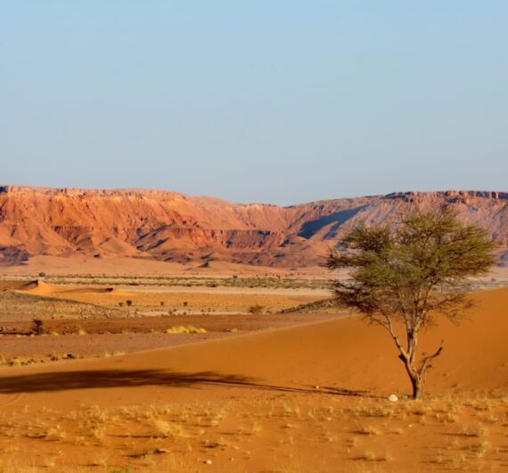 WhatsApp Image 2025-09-18 at 17.49.26_1f4a6c69