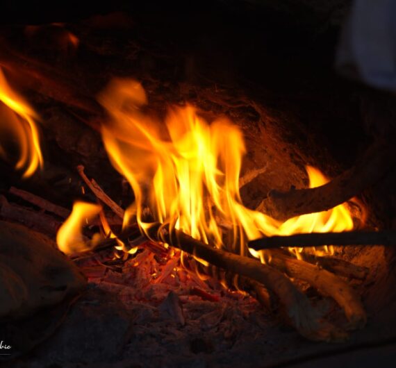 WhatsApp Image 2025-09-18 at 17.51.15_86d73a63