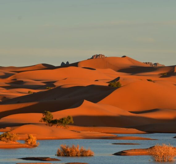 WhatsApp Image 2025-09-18 at 18.05.49_02681441