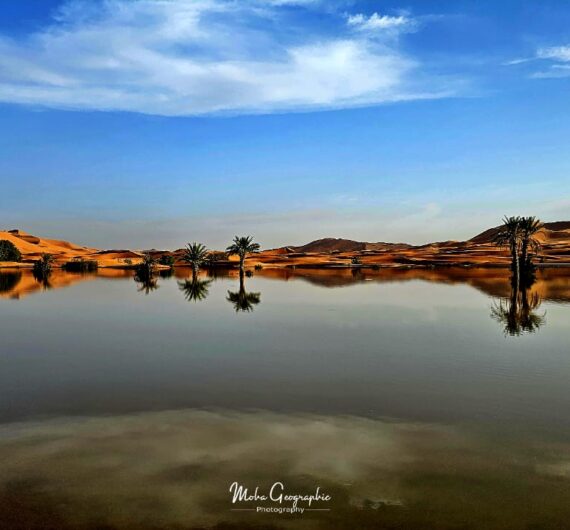 WhatsApp Image 2025-09-18 at 18.05.50_9ebe4f19