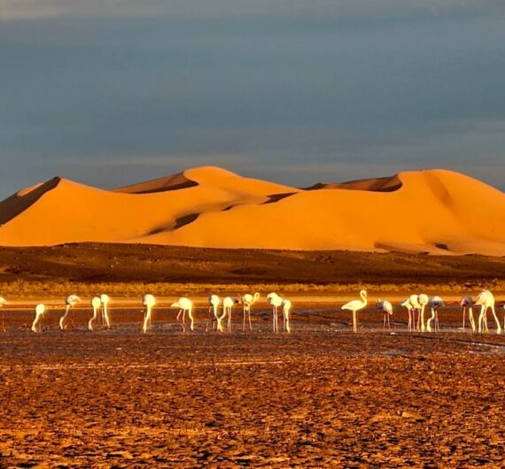 WhatsApp Image 2025-09-18 at 18.22.06_0a5e7c93