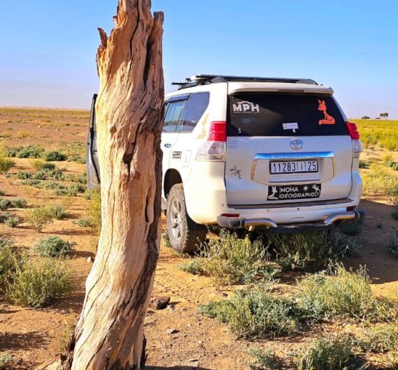 WhatsApp Image 2025-09-18 at 20.11.56_c7e1710e